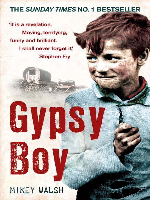 Gypsy Boy (eBook): One Boy's Struggle to Escape from a Secret World